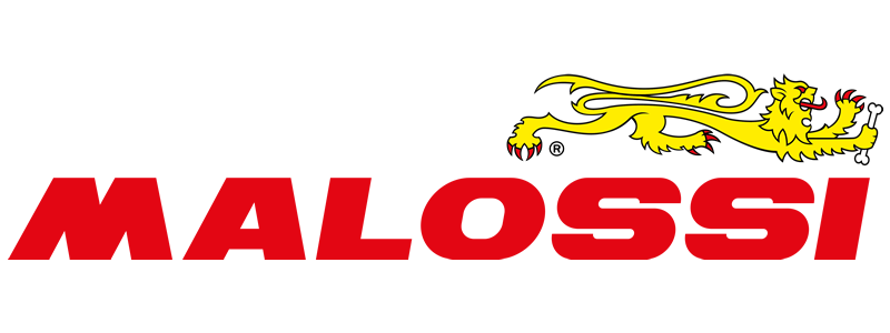 The new Malossi logo: the brandu2019s experience and ...